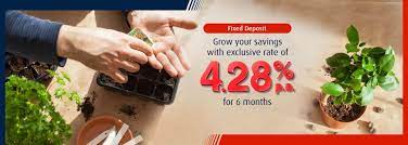 Rates up to 0.75% p.a. Hong Leong Finance Fixed Deposit Rate Rating Walls
