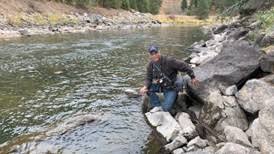 Bugs and the North Fork Payette