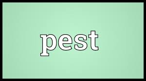 Integrated pest management, biological control and pollination. Pest Meaning Youtube