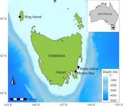 Image result for Roman Green 1929 Nash