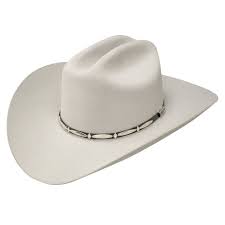 Stetson Del Norte 6x Fur Cowboy Hat In 2021 Cowboy Hats Felt Cowboy Hats Cowboy