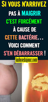 Si Vous N Arrivez Pas A Maigrir C Est Forcement A Cause De Cette Bacterie How To Make Tea Special Diets Bacteria