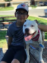 JOYFUL JACINDA! Sigh of relief....I was rescued from the Maricopa county  shelter. My name is Jacinda. Jacinda as a girl's name is of Greek origin  meaning "beautiful". And that I am...... beautiful