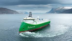 Adora quel film e vorrebbe tirare un pugno. Polarcus Amani Ulstein