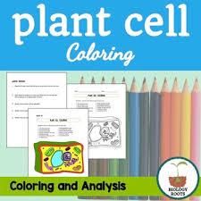 It can also be pretty intimidating. Plant Cell Coloring Sheet By Biology Roots Teachers Pay Teachers