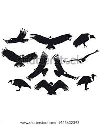 It's very easy just watch entire video. Andean Condor Vulture Bird Computer Icons Condor Clipart Stunning Free Transparent Png Clipart Images Free Download