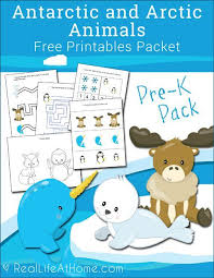 Free Antarctic And Arctic Animals Printables Packet For Preschool Winter Animals Preschool Arctic Animals Preschool Artic Animals Preschool