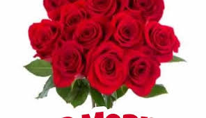 We all love good morning images! 55 Good Morning Rose Flowers Images Pictures With Romantic Red Roses