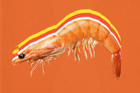 What S The Difference Between Shrimp And Prawns In 2020 Prawn Shrimp Shrimp Prawn
