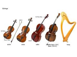 Instruments Arches Instrumentos Musicales Musicales Musica Es increíble que todavía estés cuerdo. instrumentos musicales