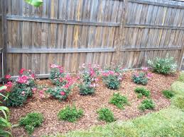 They can be used in the landscape just like any other shrub. Knockout Roses And Gardenia Radicans Best Landscaping Service Horizon Landscaping Of Jacksonville Fl