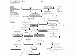 Skills Worksheet Concept Mapping Beautiful Cell Worksheet In 2020 Teaching Biology Teaching Cells Biology Lessons