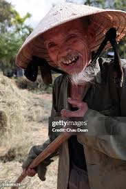 70-year-old Vietnamese dries straw for kilning in Thuy Phuong... News Photo 