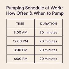 Pumping Schedule at Work: How Often & When to Pump - PumpElle