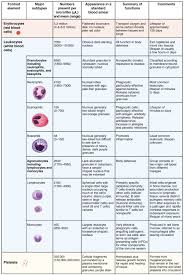 Pin On Hematology