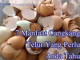 Gratis untuk komersial tidak perlu kredit bebas hak cipta. Https Gudangilmupustaka Wordpress Com 2015 12 19 7 Penyebab Kenari Lokal Banting Harga Dan Yorkshire Tetap Tahan Harga Https Gudangilmupustaka Files Wordpress Com 2015 12 61e81 Wiraternak Jpg 61e81 Wiraternak 2018 07 08t14 21 40 00 00