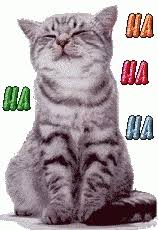 Cat Laughing Gif Cat Laughing Discover Share Gifs Laughing Cat Laughing Images Funny Gif