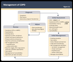 Image result for COPD Management