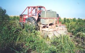Maybe you would like to learn more about one of these? Safety Measures For Handlers Workers Against Herbicide Intoxication Risk Intechopen