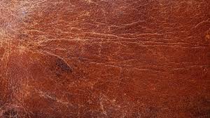 50ml leather repair kit for car seats sofa scratch rips tares scuffs holes new y. 5 Things That Ruin Leather And 3 Things That Fix It Gold Eagle Co