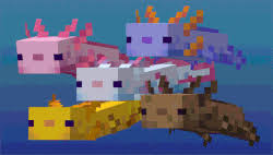 A natural generation farm causes axolotls to spawn, and the spawn conditions are also correct for glow squid. Axolotl Minecraft Wiki