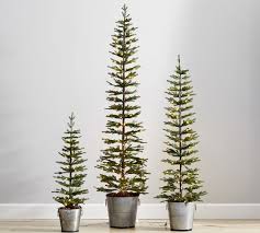 Arranged in a galvanized planter, you can bring a simple but chic touch to your spaces. Pre Lit Pine Trees In Galvanized Bucket Pottery Barn