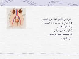 Ppt الماء في جسم الإنسان إعداد المعلمة آمال ياسين Powerpoint Presentation Id 5608818