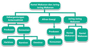 Maybe you would like to learn more about one of these? Materi Dan Kunci Jawaban Tematik Kelas 5 Tema 5 Subtema 3 Halaman 103 104 105