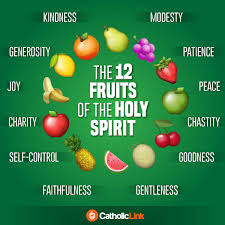 Infographic The 12 Fruits Of The Holy Spirit Fruits Of Holy Spirit Holy Spirit Spirit Quotes