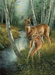 Doe And Fawn Stream Scene Colored Example Animal Paintings Wildlife Paintings Animal Art