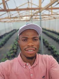 Happy weekend my great farmer, we're now two weeks today, how are dey looks  sir, ma.