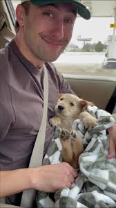 Levi Sebastian Blehm