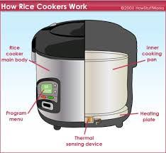 We did not find results for: Cara Kerja Dan Prinsip Rice Cooker Dunia Termodinamika