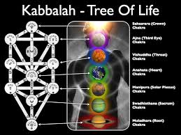Tree Of Life Symbolen Levensboom Afbeeldingen