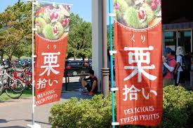 日本ソフト開発株式会社