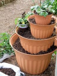We did not find results for: Stack A Pot The Owner Builder Network Flower Pot Tower Plants Strawberry Plants
