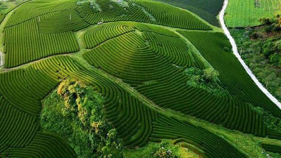 Du lịch Mộc Ch&acirc;u Sơn La m&ugrave;a n&agrave;o đẹp nhất, c&oacute; g&igrave; hấp dẫn? | Phuotvivu