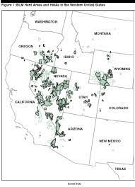 Animaltourism Com The Best Places To See Wild Horses