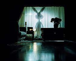 Trent parke christmas tree bucket. Trent Parke Artist News Exhibitions Photography Now Com