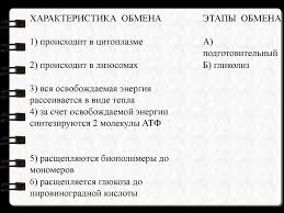 Obmen Veshestv Online Presentation