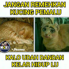 Meme lucu ini muncul setelah kelakuan deretan kucing berwarna oranye yang melakukan aksi unik dan di luar kebiasaan. Pin Oleh Markruse17 Di Meme Lucu Lucu Meme Lucu Kucing