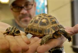 News Sentinel archive photos of Zoo Knoxville through the years.