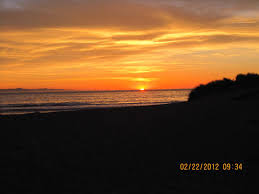 T. Whelan Obituary (2015)