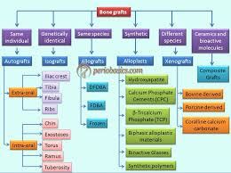 Bone Grafts In Periodontics Periobasics Com