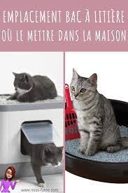Emplacement Bac A Litiere Du Chat Ou L Installer Conseils Pour Chat Bac A Litiere Bac A Litiere Chat