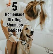 Onların her bakımdan sağlıklı şekilde hayatlarının devam ettirmeleri için gereken her şeyi düşünerek tedarik etmeli ve ona göre bir bakım programı uygulamalıyız. These Diy Homemade Dog Shampoo Recipes Are Easy To Make Most Of Them Use Basic Ingredients You Probably Already Have At Home Making Them Some Of The Easiest Di