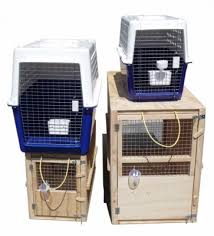 We encourage pet owners to review carefully their travel plans for upcoming international moves. Cage Rental For Pet Transport In New Zealand