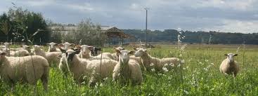 Découvrez toutes nos annonces immobilières de vente de fermes dans le département val d oise (95), actualisées en temps réel. Val D Oise 95 Vente Directe Producteur