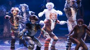 Cats Film Due Out In 2019 Jellicle Cats Cat Movie Cats Musical