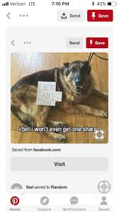 Buy & sell the best viral videos. Let S Get This Pup Viral In 2020 Cute Funny Animals Cute Animals Cute Baby Animals